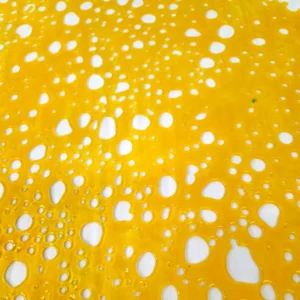 Buy Gary Payton Shatter Online