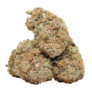 Buy Jet Fuel Weed Strain Online